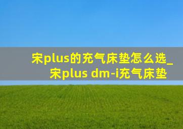 宋plus的充气床垫怎么选_宋plus dm-i充气床垫